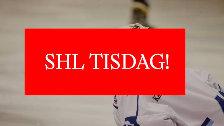 Vill Du Ha Speltips Infor Shl Omgang 48 Vi Rekar De Hetaste